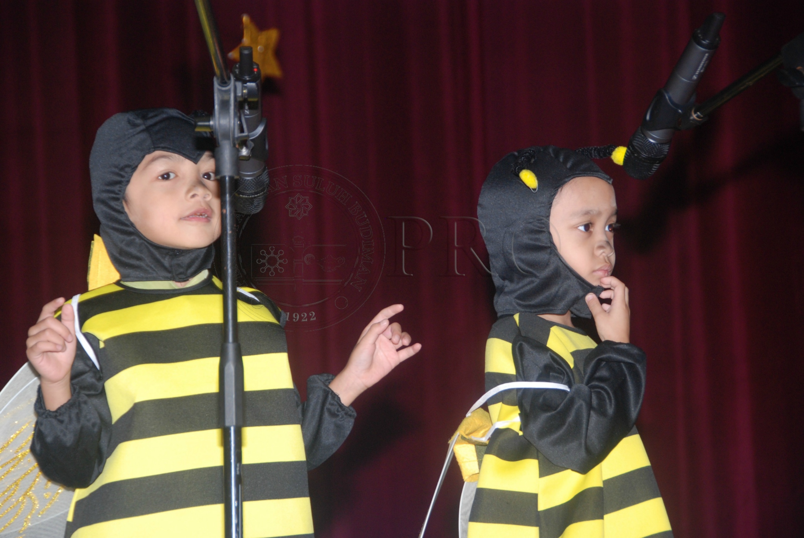 PRO 12 126 pkkk DSC 7507